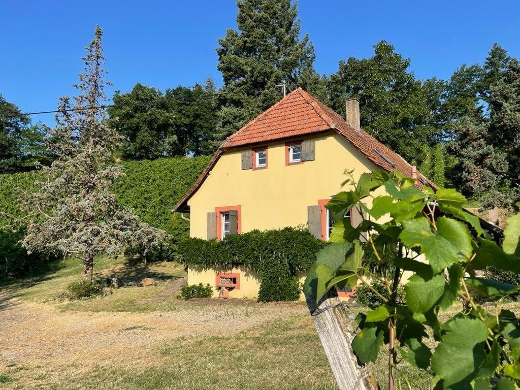 Rebhaus Durbach Exterior foto